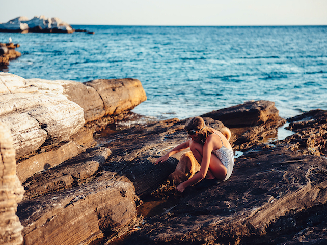 Take a stroll along the beautiful dog-friendly beaches in the Kvarner Bay!