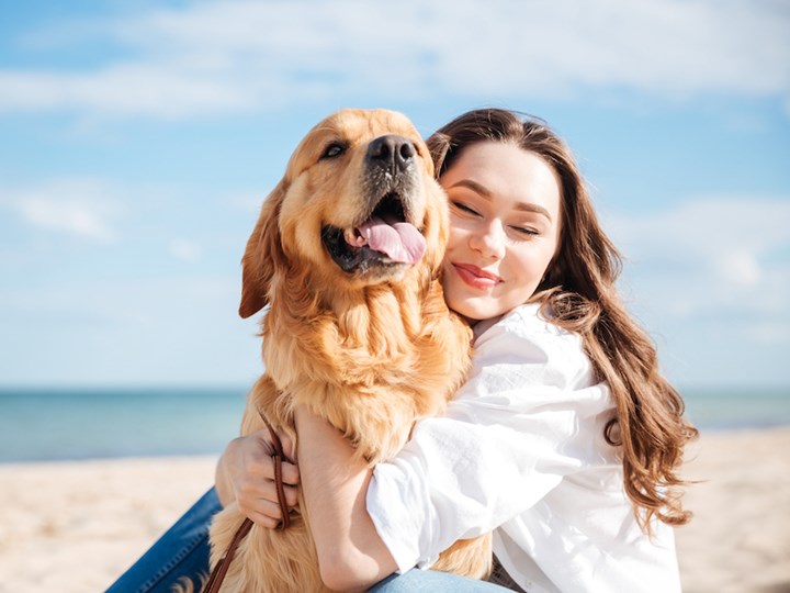 Take a stroll along the beautiful dog-friendly beaches in the Kvarner Bay!