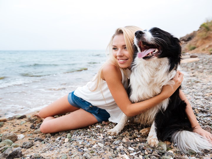 Take a stroll along the beautiful dog-friendly beaches in the Kvarner Bay!