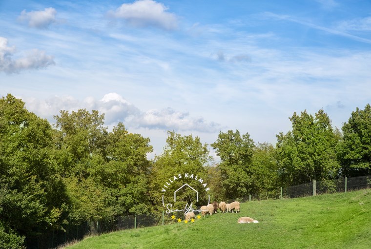 Mini farm with domestic animals on the estate of Villa Vlastelini I