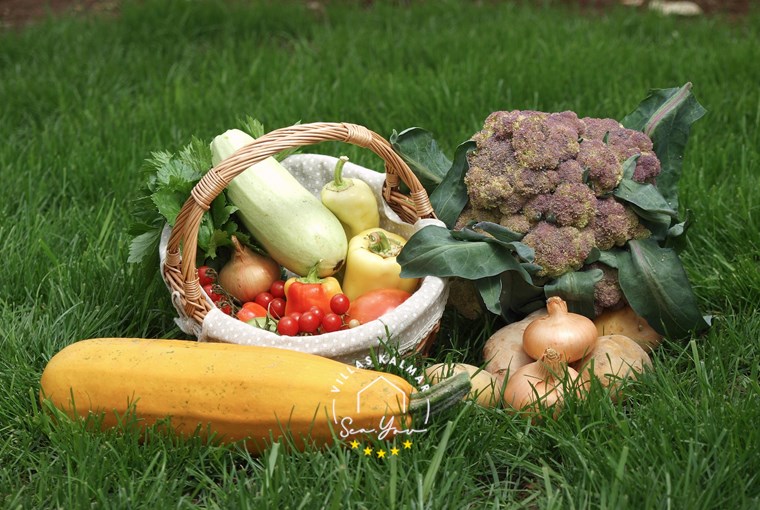 Guests can pick fresh produce in the organic garden at Villa Vlastelini I
