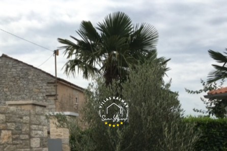 Villa Casa Collini foto 25 di 45