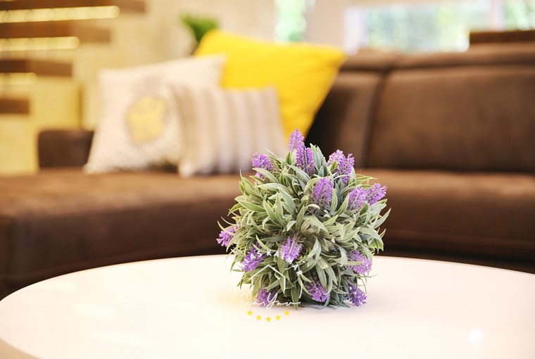 Villa Mara image 26 of 51