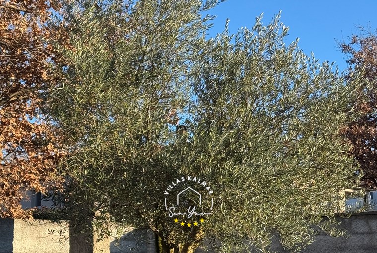 Villa Ravina foto 18 di 18