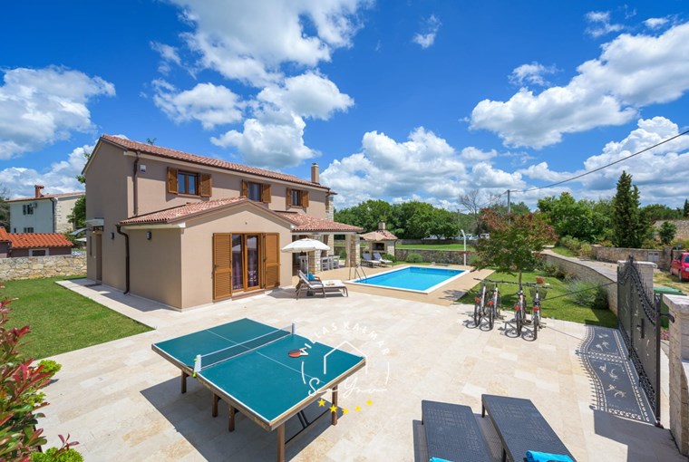 Table tennis in garden of villa