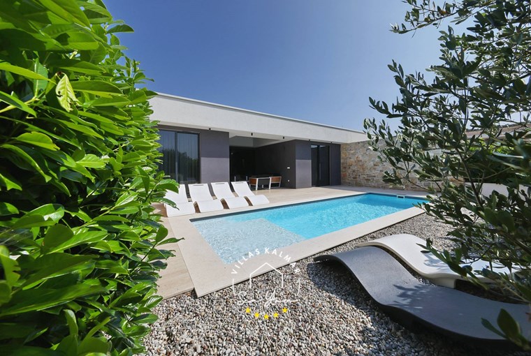 Modern Villa K2 with private pool surrounded by sun loungers and plants on Pasman