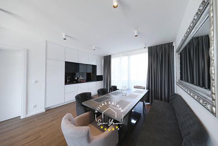 Modern fully equipped kitchen with dining area and terrace access in Villa K2 on Pasman