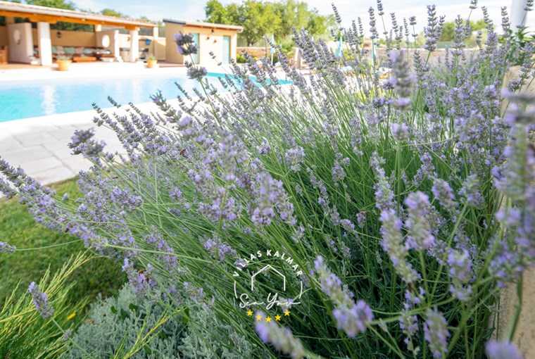 Villa Bozini Dvori image 18 of 110