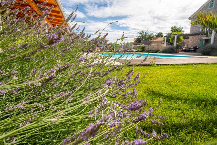 Villa Bozini Dvori image 53 of 110