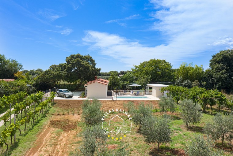 Villa Cvita foto 28 di 47