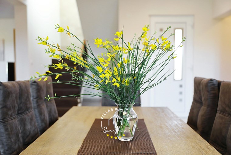 Villa Nerina image 27 of 41