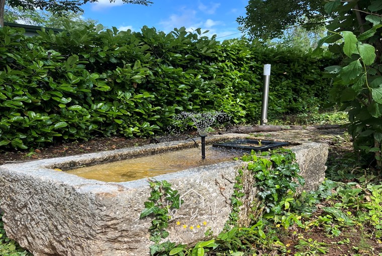 Villa Casa Rupeni image 14 of 22