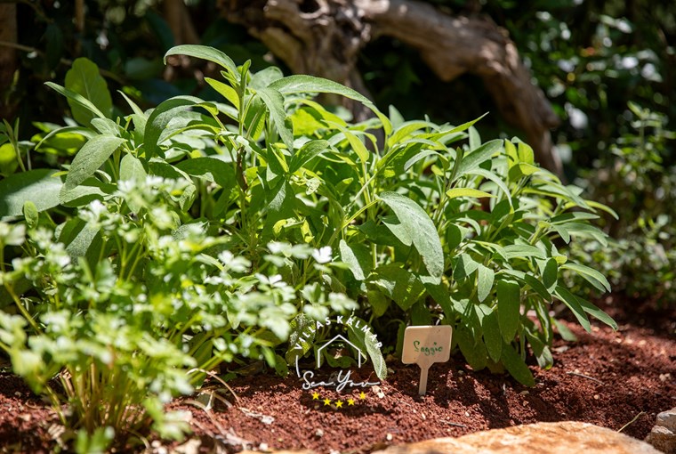 Villa Rogovici foto 33 di 34