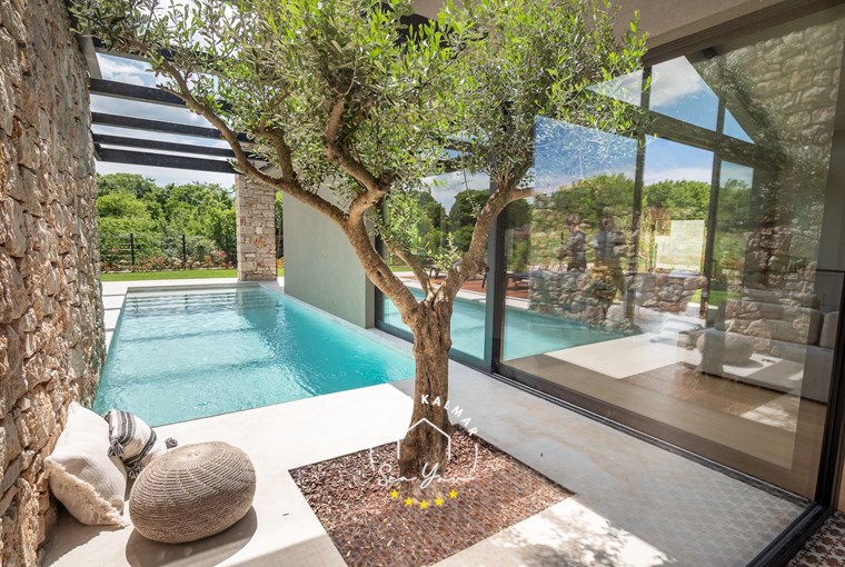 Private pool and olive tree of Villa with glass walls