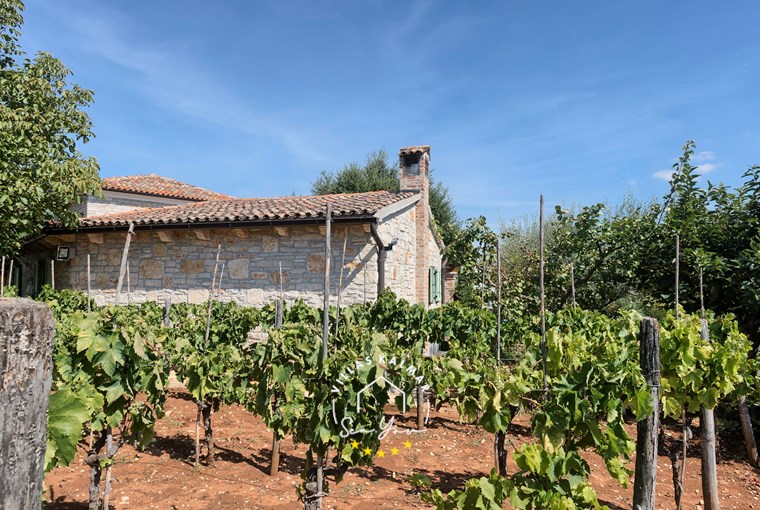 Villa Karim slika 78 od 92