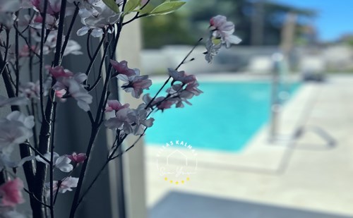 Villa Oliva Tar image 6 of 6