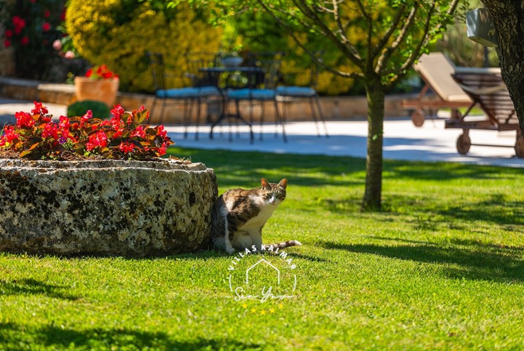 Villa Valade image 34 of 60