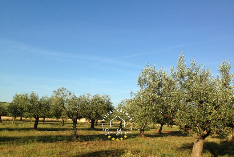 Villa Valade foto 13 di 20