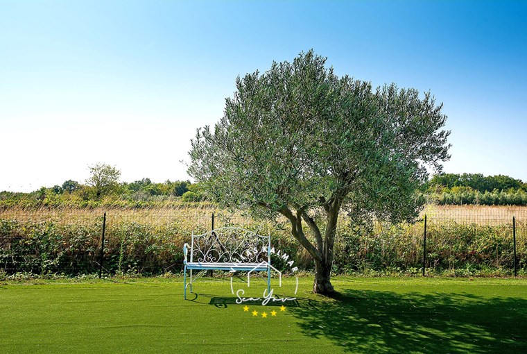 Villa Campi foto 32 di 85