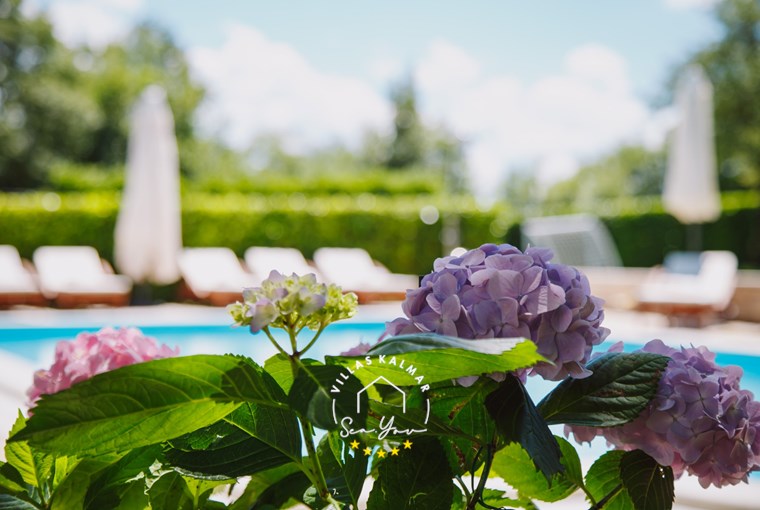 Villa Kringa foto 13 di 69